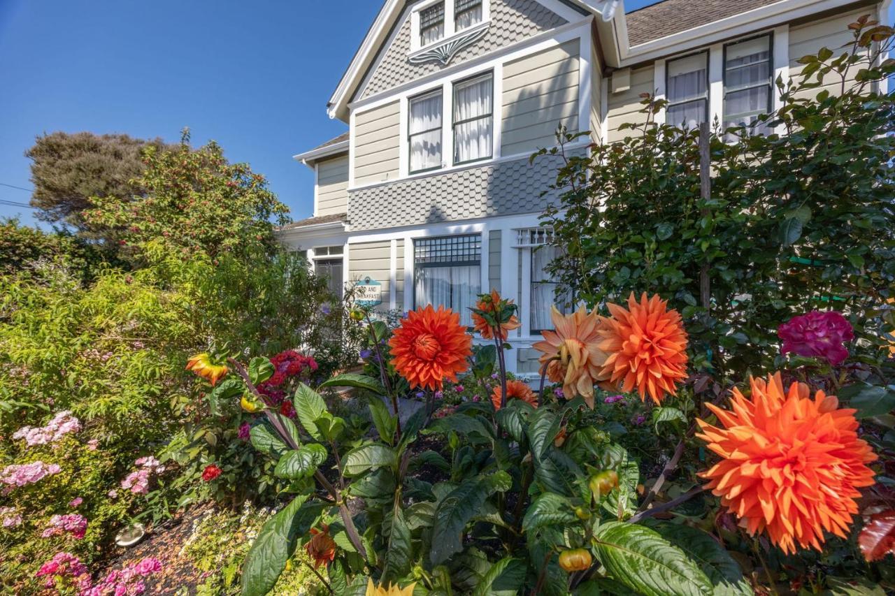 Nantucket Penthouse - Walk To Restaurants Beaches Activies & So Much More Villa Half Moon Bay Exterior photo